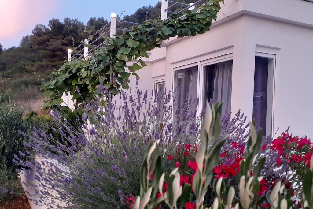 Vis - Luxury Holiday Villa With Swimming Pool Екстер'єр фото